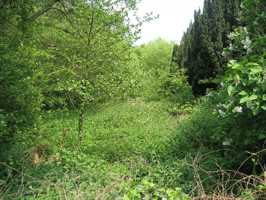 The site of the chapel today