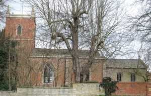 View from the south (through the trees)